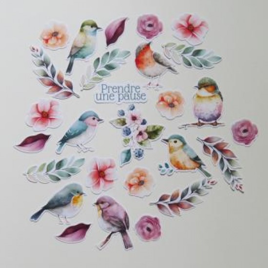 19JU24D- Fleurs et oiseaux
